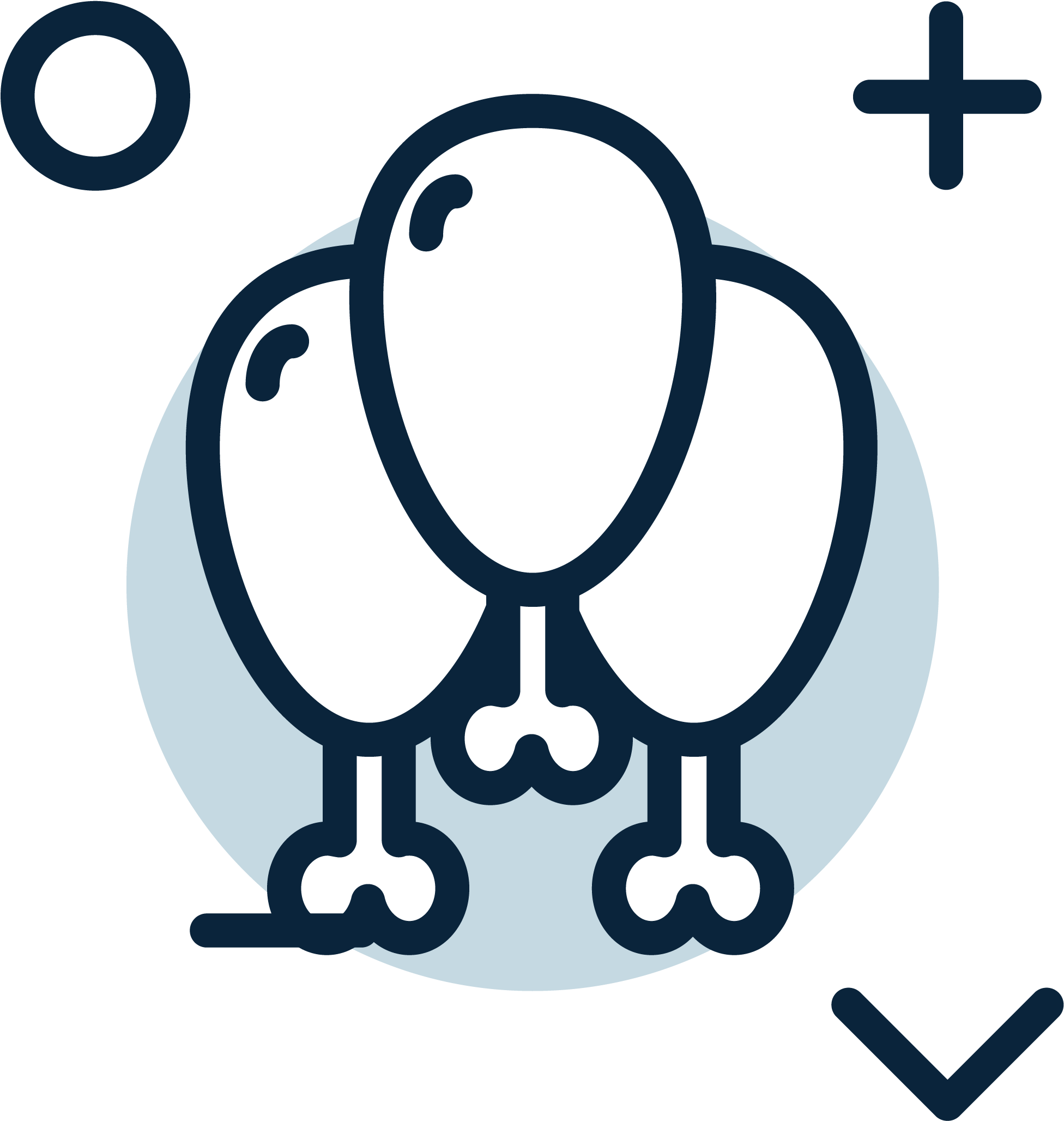 Survey Image - Circle Clipart (4167x4167), Png Download