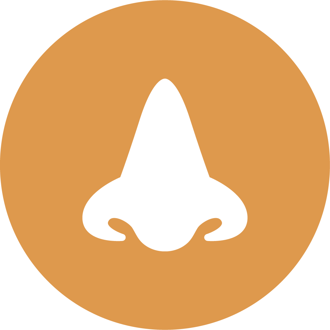 Circle Clipart (1067x1068), Png Download