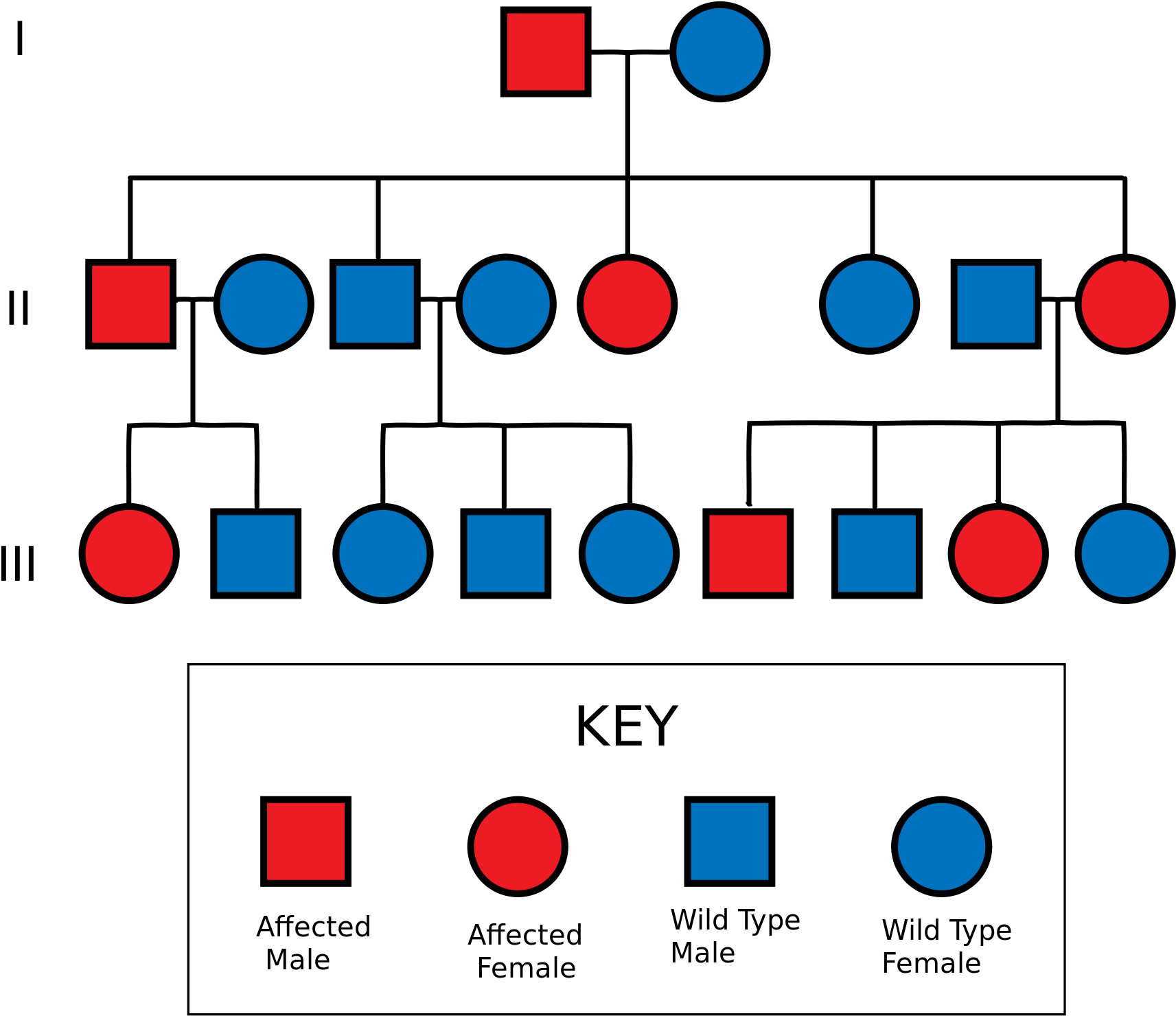 Neurofibromatosis Clipart Jpg Black And White Download - Pedigree Chart For Tourette Syndrome - Png Download (2000x2000), Png Download