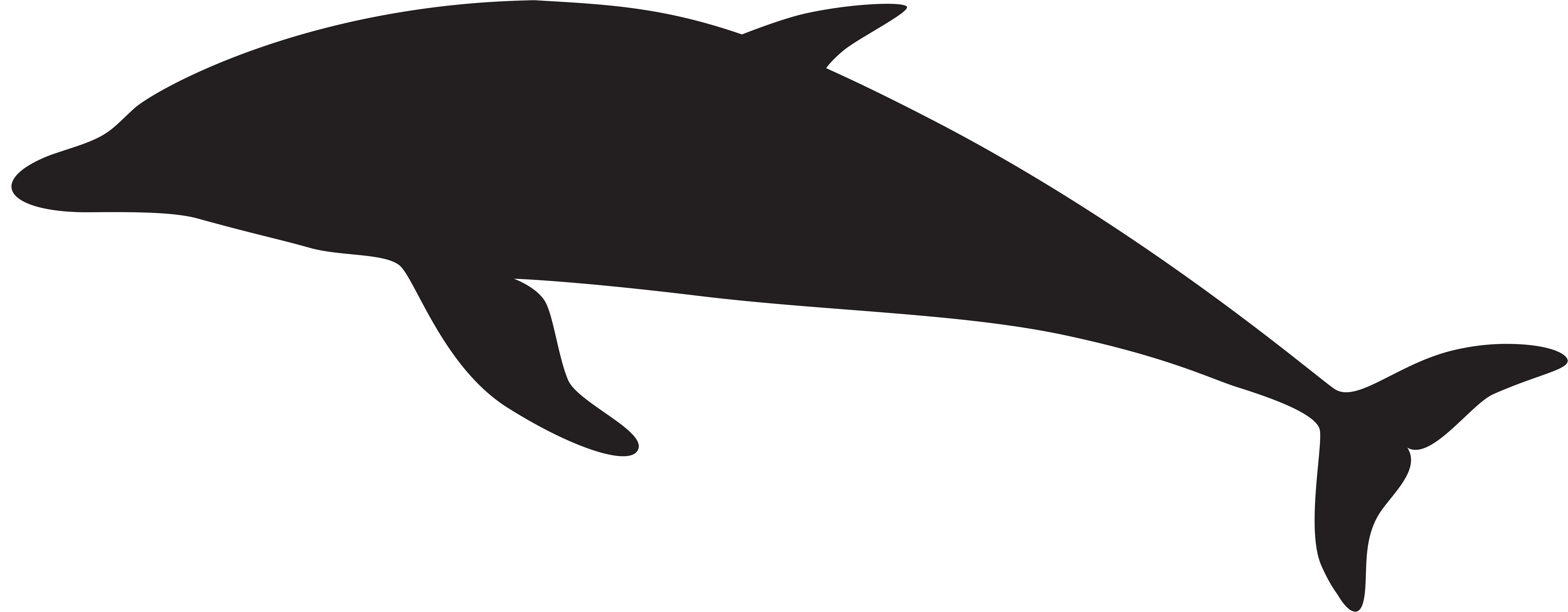 Dolphin Silhouette Png Clipart (8000x3210), Png Download