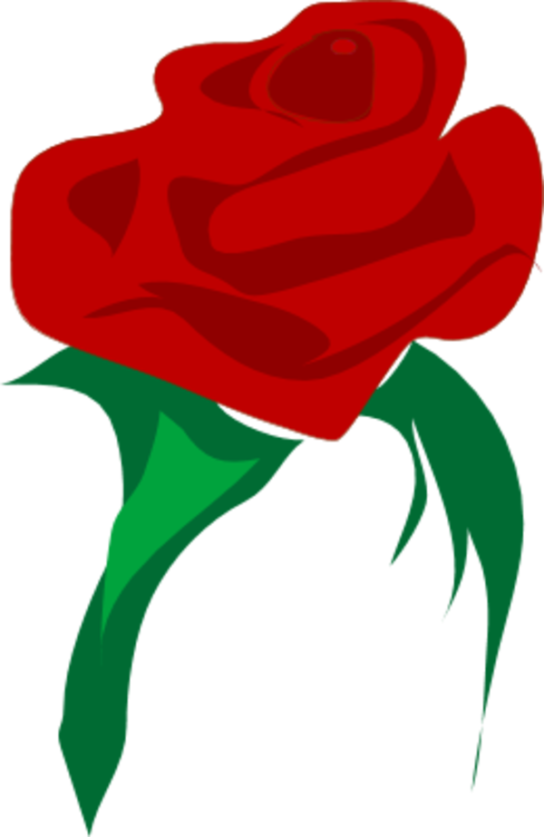 Rose Flower Red Clip Art - Vector Free Png Rose Red Transparent Png (600x923), Png Download