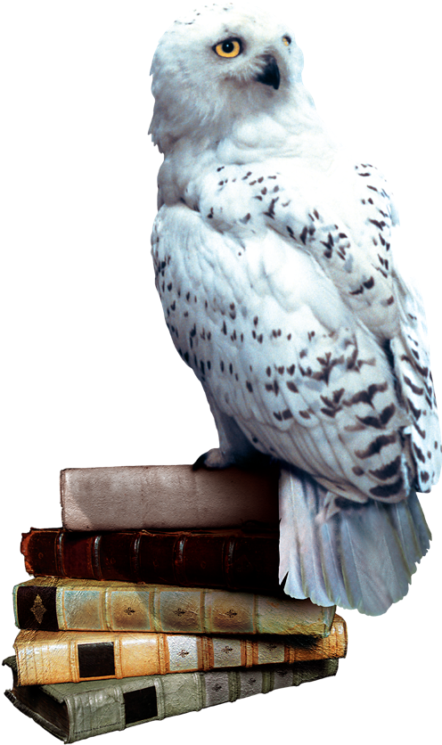 Transparent Sorting Hat Clipart - Harry Potter Hedwig Png (496x836), Png Download