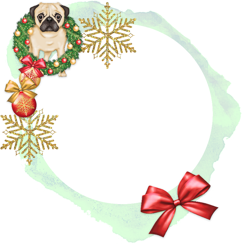 Tubes Cadres,png Noel Clipart (800x800), Png Download