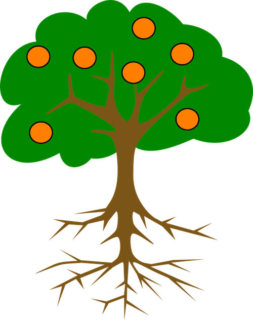 Tree With Roots And Fruits Clipart (500x632), Png Download