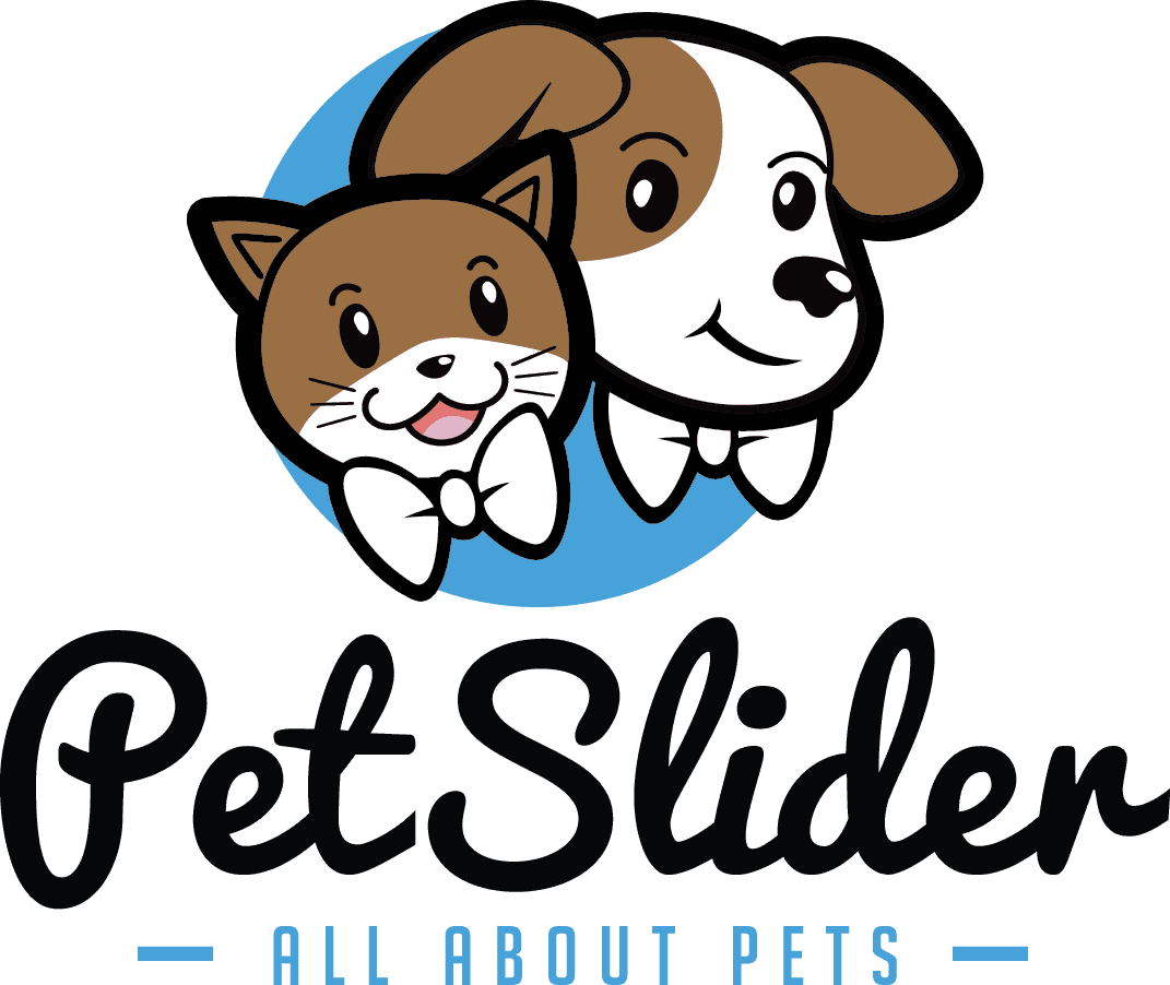 Te Juro Que Te Olvidare Clipart (1071x902), Png Download