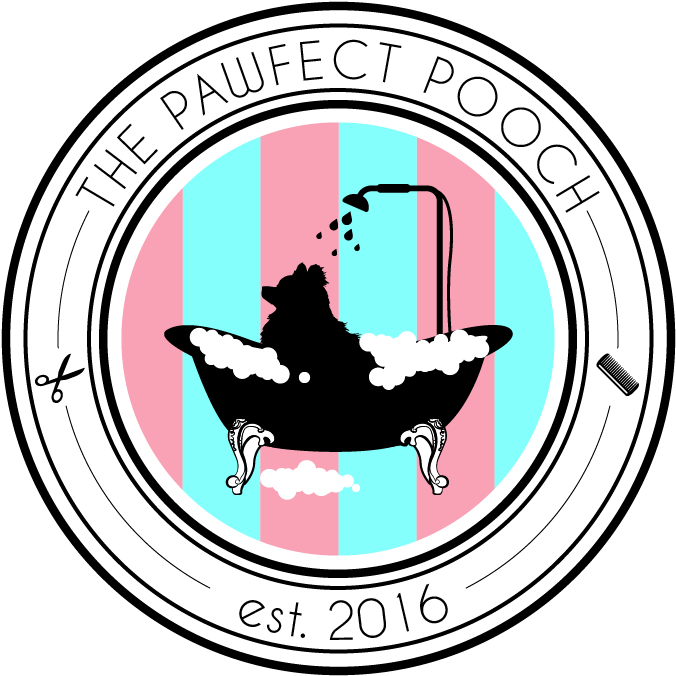 Clip Art - Png Download (675x806), Png Download