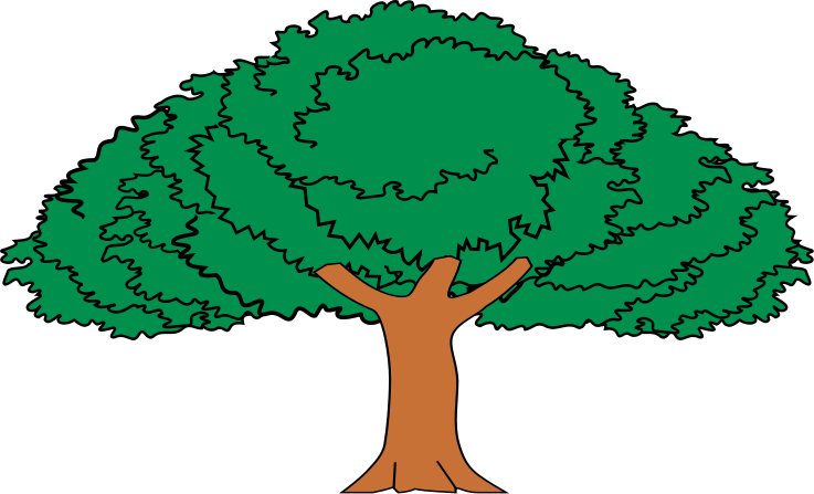 Arbol De Guanacaste Mueble Heraldico - Arbol Nacional De Costa Rica Para Dibujar Clipart (737x447), Png Download