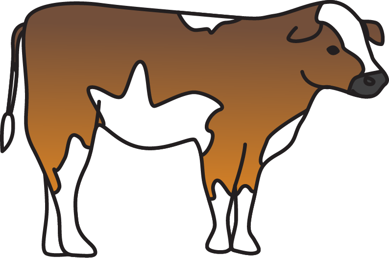 Clip Art - Png Download (794x527), Png Download