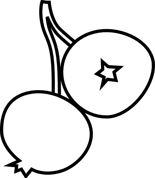 Clipart Turkey Outline Picture Black And White Stock - Blueberry Clipart Black And White - Png Download (522x599), Png Download