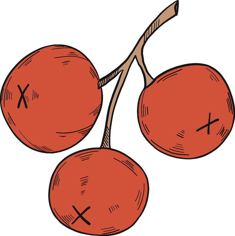 Three Cranberries Clipart - Png Download (798x800), Png Download
