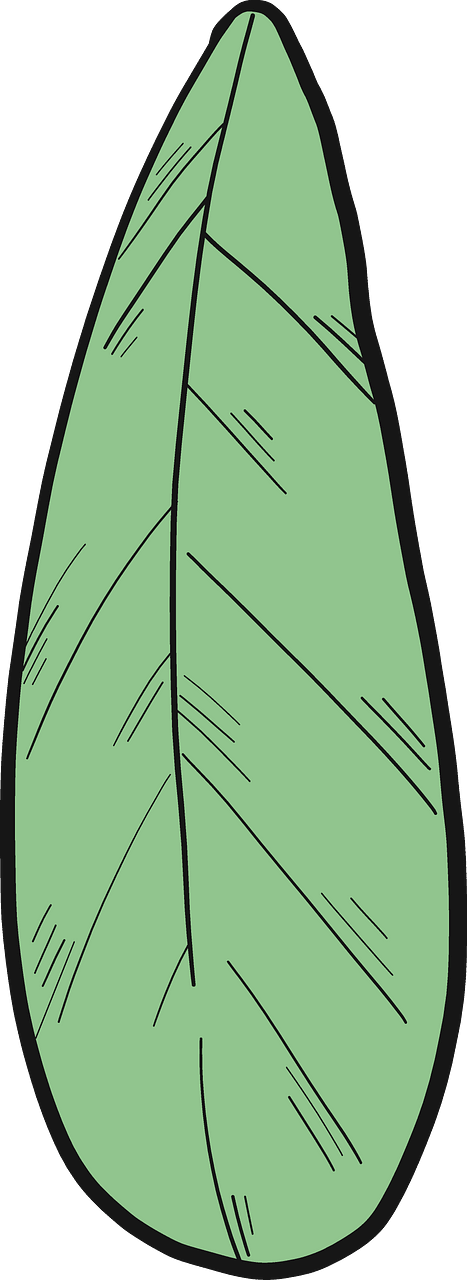 Clip Art - Png Download (467x1280), Png Download