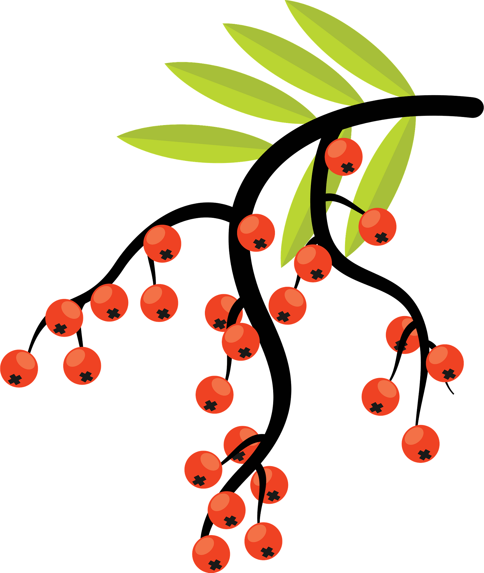 Clip Art - Png Download (1623x1920), Png Download