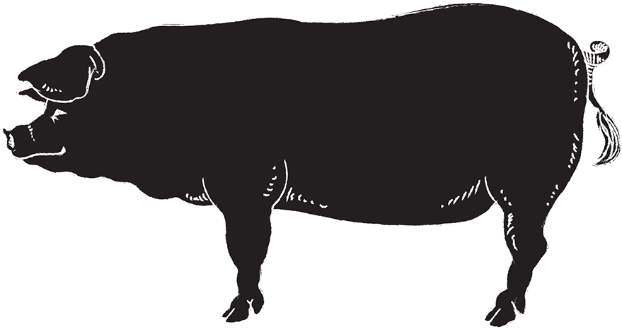 Bull Clipart (910x569), Png Download