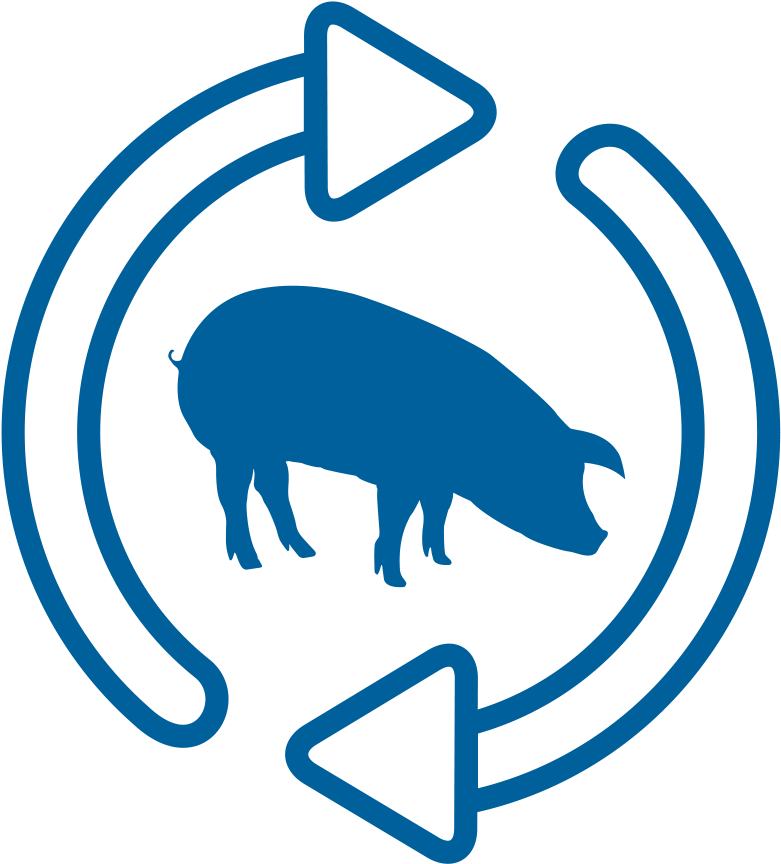 Clip Art - Png Download (900x900), Png Download