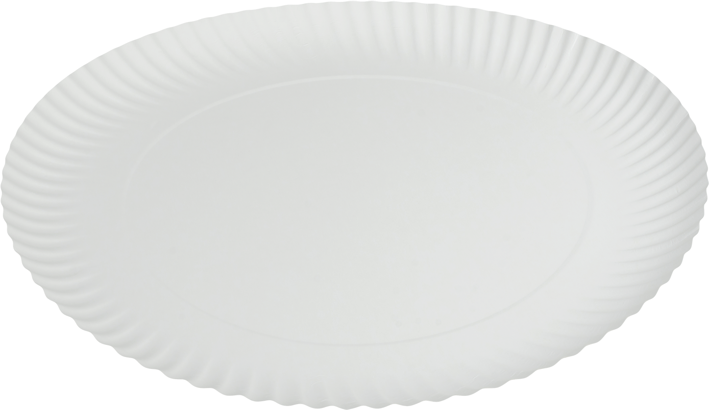 Paper Plate Png Plate - Clipart Paper Plates Png Transparent Png (1447x837), Png Download