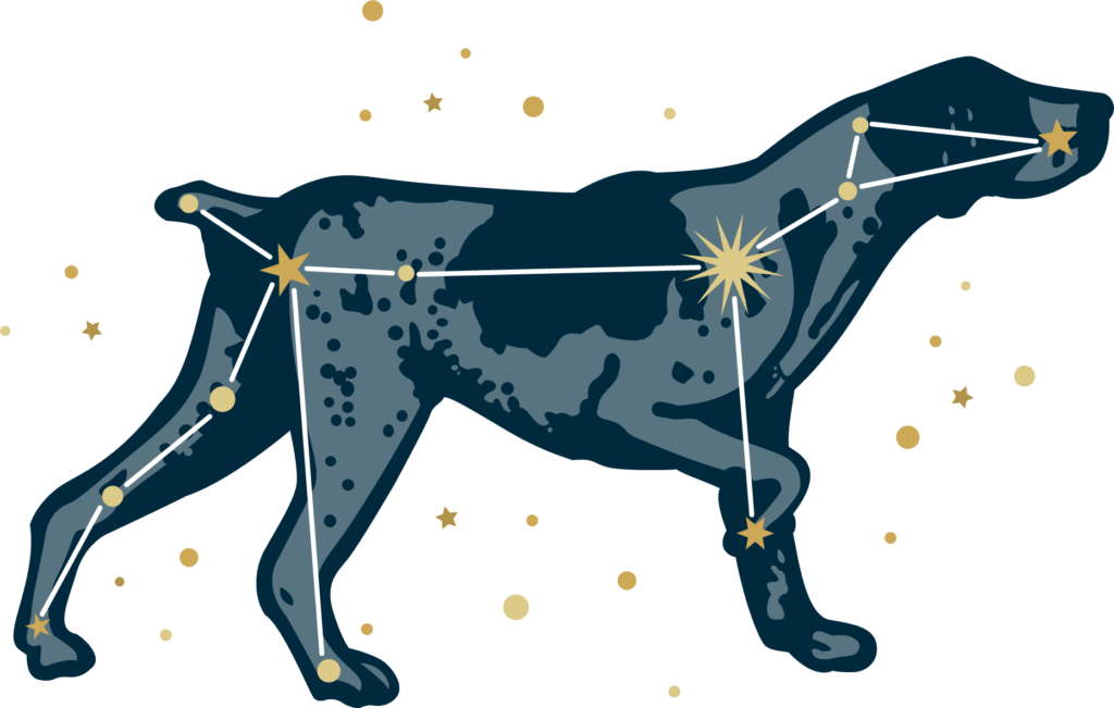 Dog Clipart (1024x651), Png Download