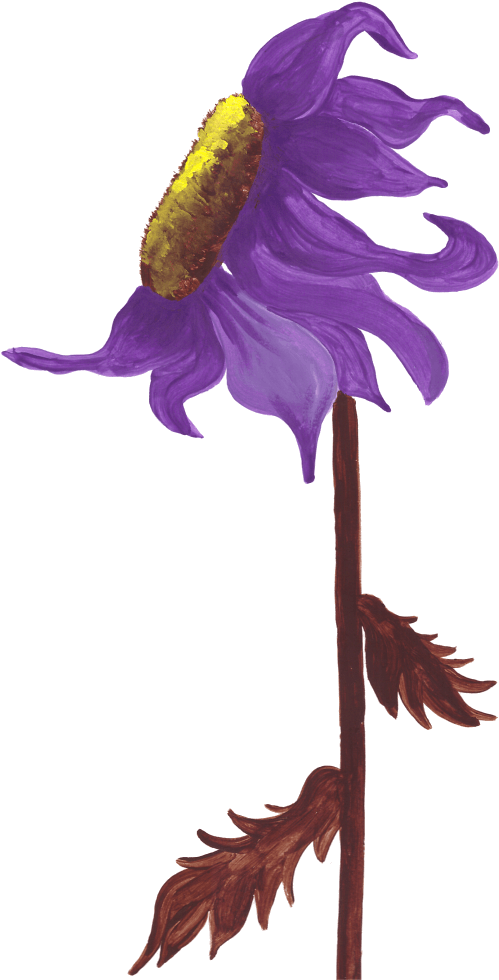 Purple Sunflower Studio - Illustration Clipart (524x1024), Png Download