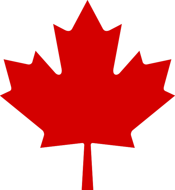 Free Maple Leaf Clipart - Png Download (591x640), Png Download