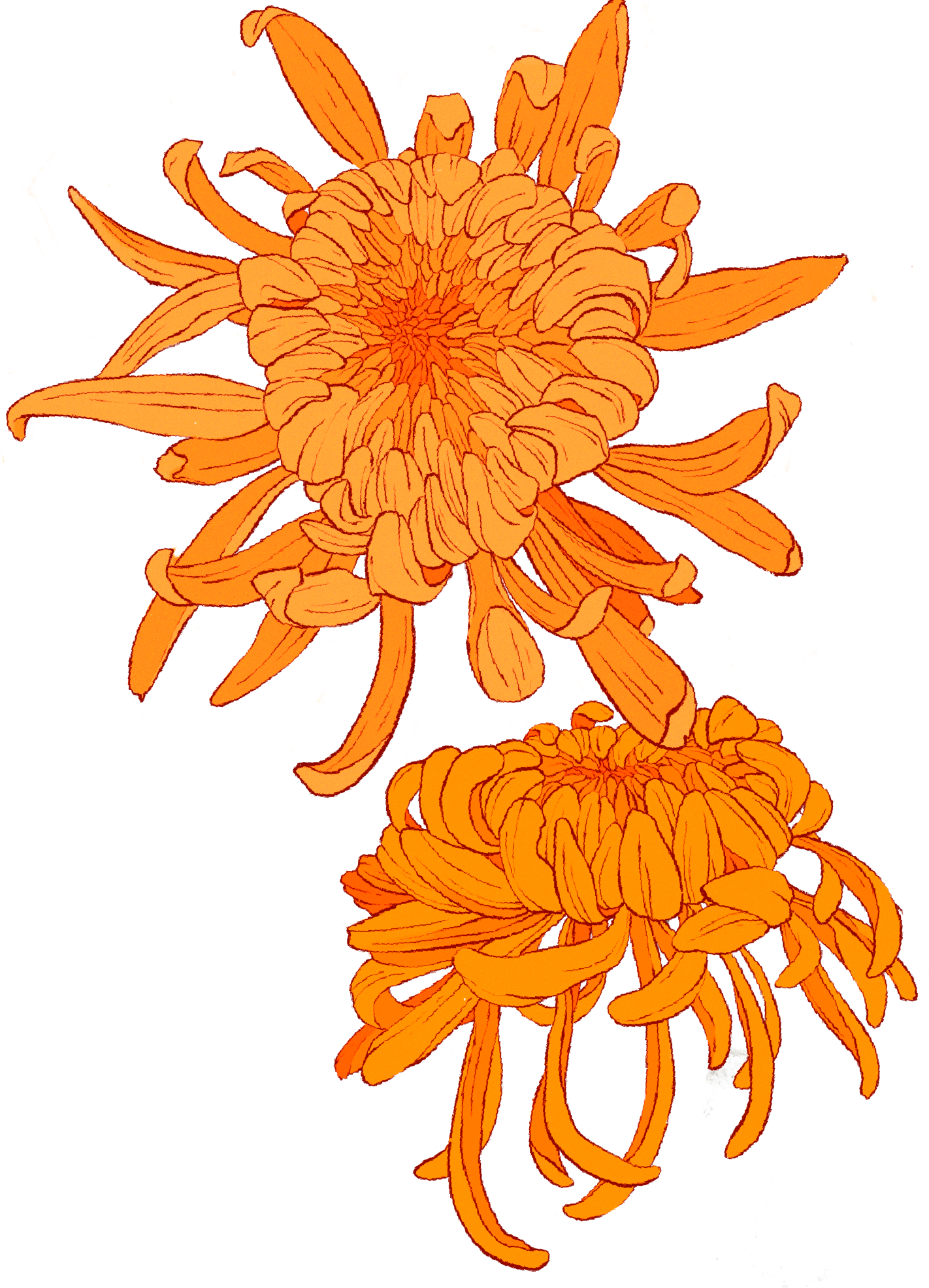 The Future Of Data Storage Is Hidden In Plain Sight - Sunflower Clipart (1422x1973), Png Download