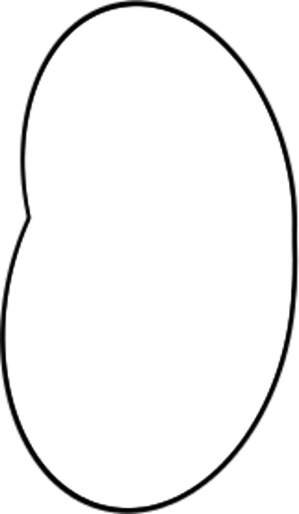 Bean Art Line - Internet White Png Clipart (600x1030), Png Download