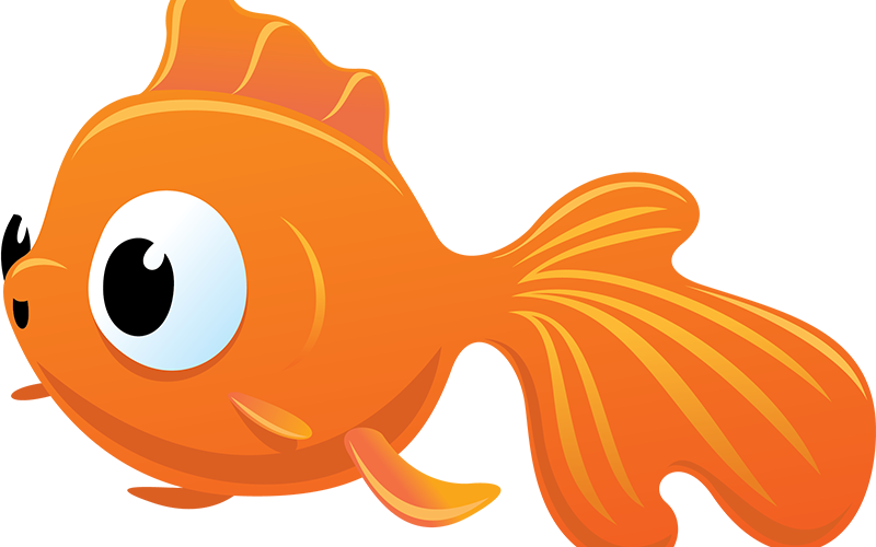 Vbs Submerged Clipart - Png Download (800x500), Png Download