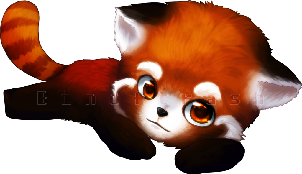 Download Red Panda Png Clipart - Transparent Background Red Panda Clipart (1024x590), Png Download