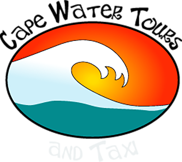 Circle Clipart (600x533), Png Download