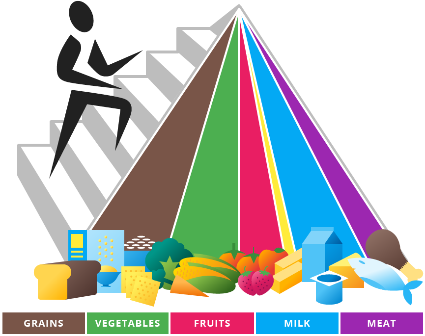 Old New Old Food Pyramid Clipart (880x880), Png Download
