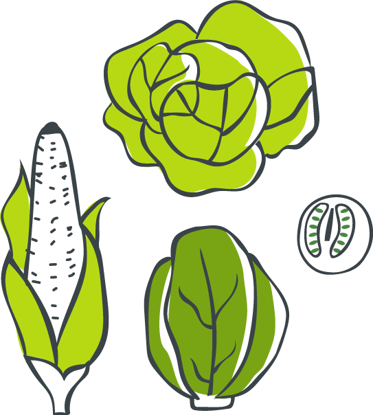 Clip Art - Png Download (543x604), Png Download