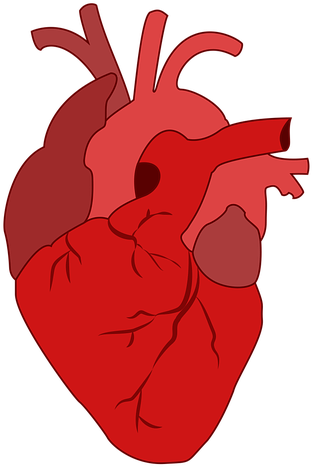 Heart-2970152 480 - Medical Valentine Cards Clipart (768x480), Png Download