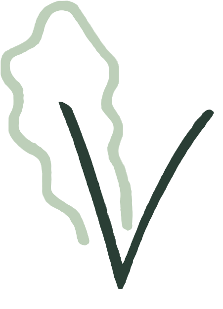 Clip Art - Png Download (768x788), Png Download