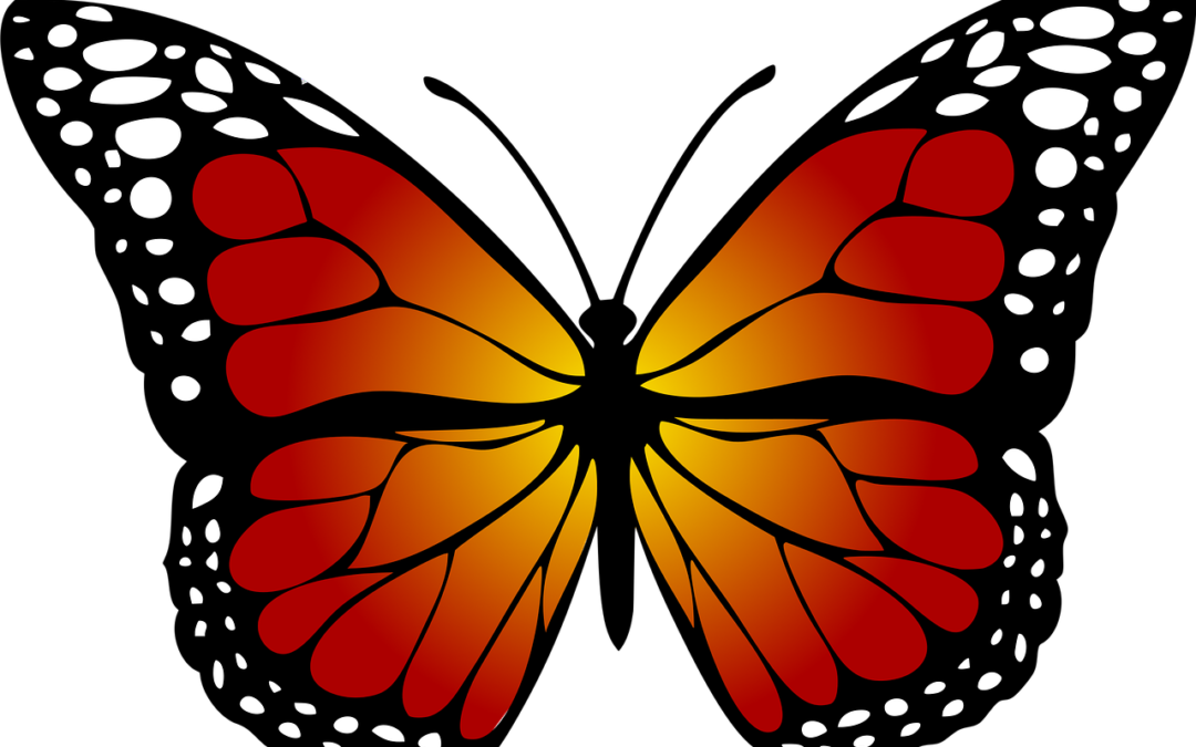 Metamorphosis And Transformation - Butterflies Black And White Clipart (1080x675), Png Download