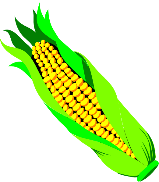 Corn On The Cob Clip Art - Vegetable Clip Art - Png Download (522x597), Png Download