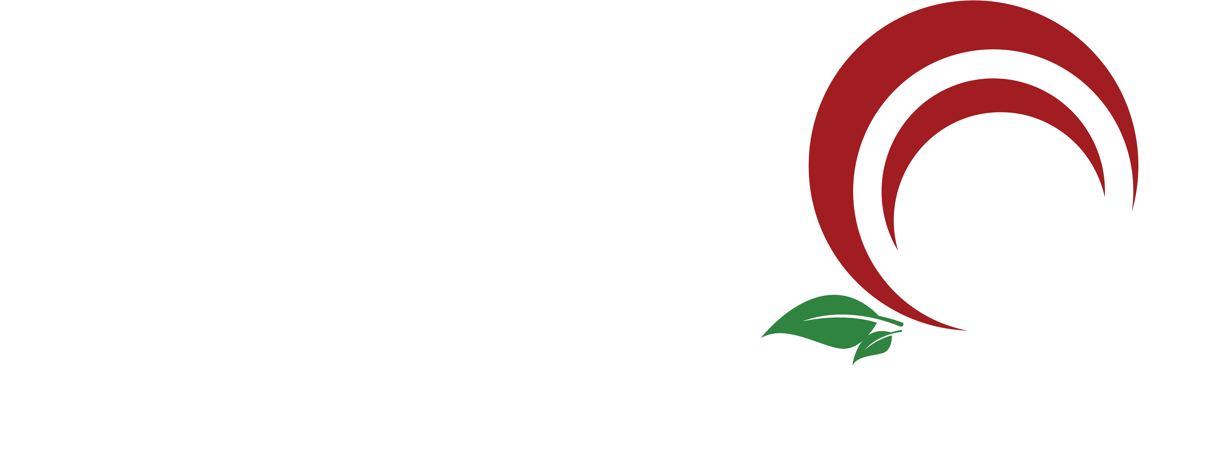 Graphic Design Clipart (4856x1918), Png Download