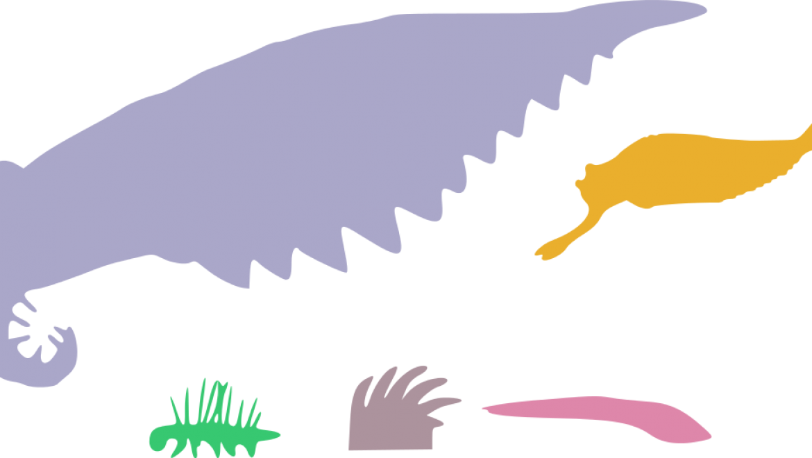 Cambrian Explosion Happened Because Bar Was Lower In Big Was Anomalocaris Clipart Full Size Clipart Pinclipart