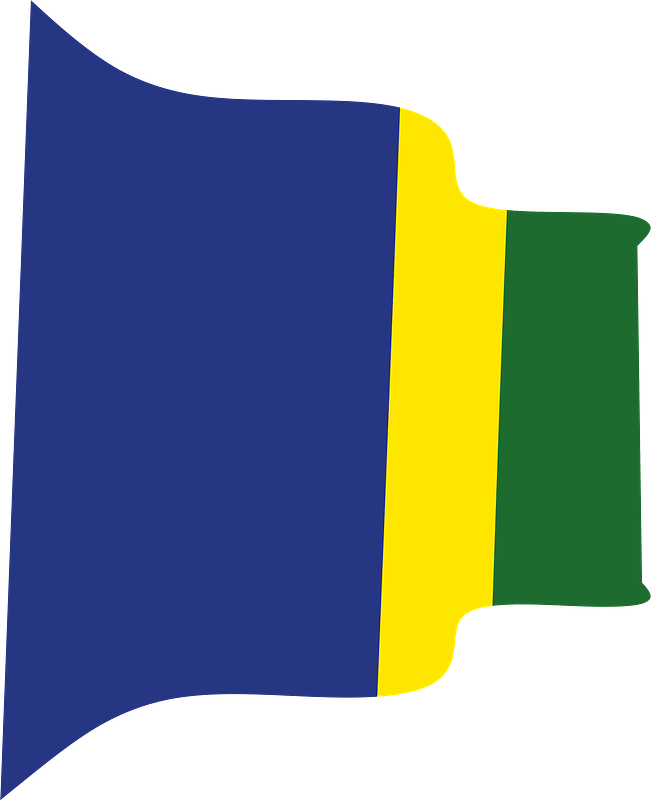 Vojvodina Wavy Flag Clipart - Png Download (651x800), Png Download