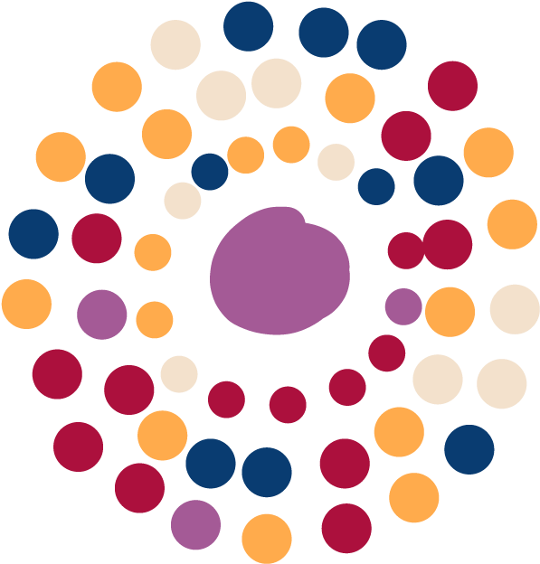 Cicrulos-26 - Circle Clipart (920x919), Png Download