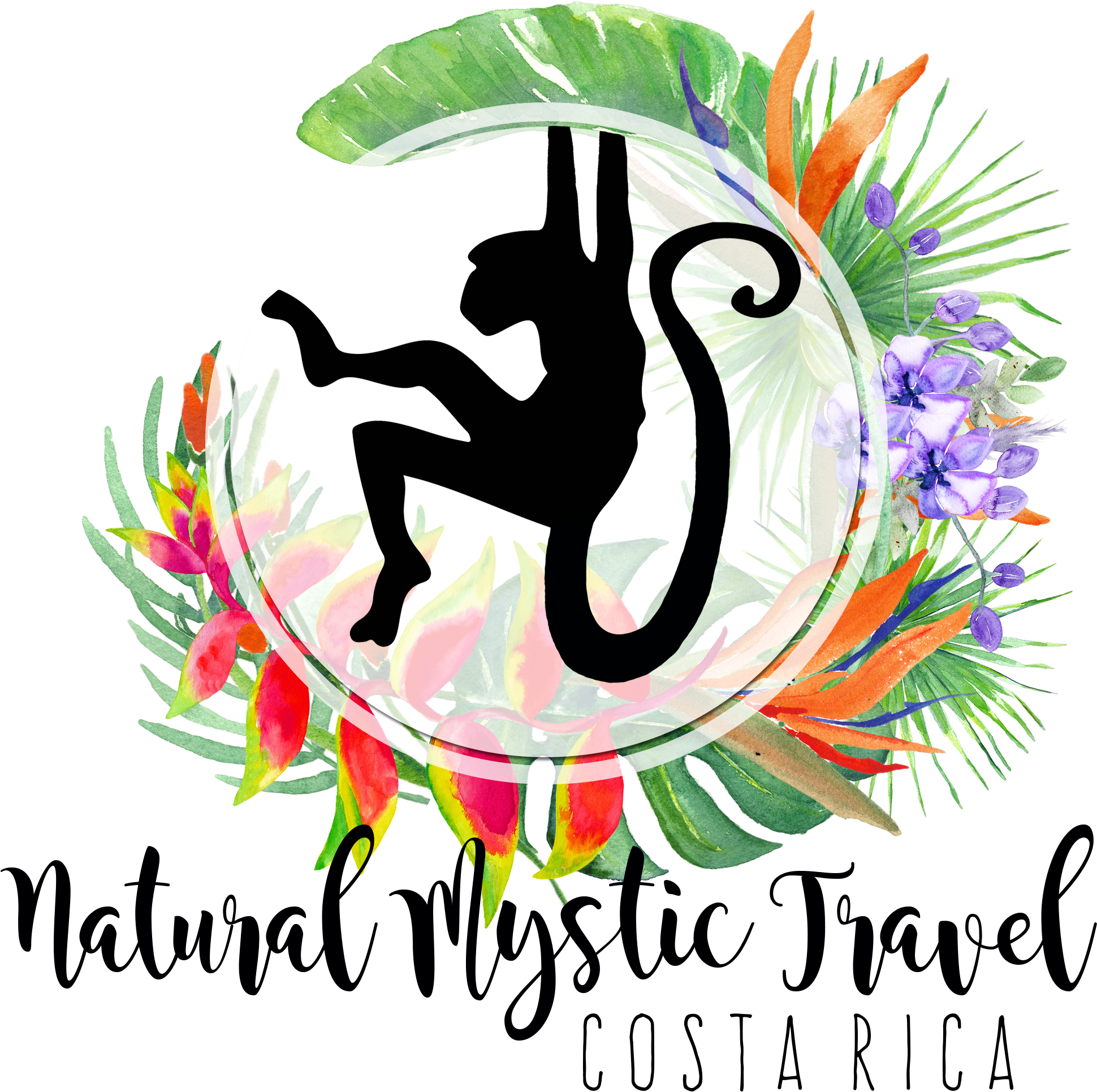 Monkey Silhouette Clipart (2000x2000), Png Download