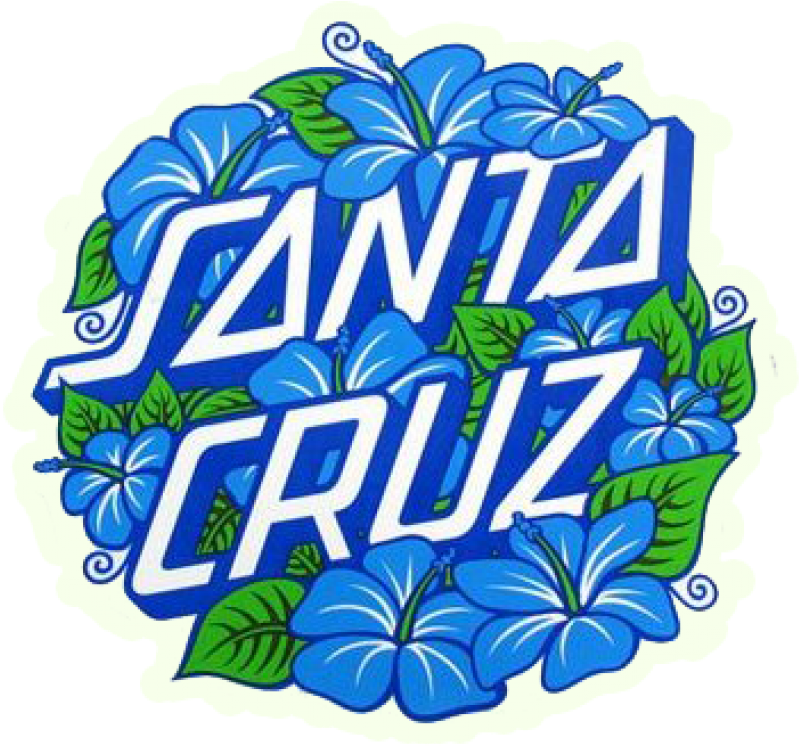 Santa Cruz Hibiscus Dot - Santa Cruz Clipart (800x800), Png Download