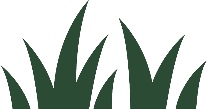 Illustration Clipart (972x972), Png Download