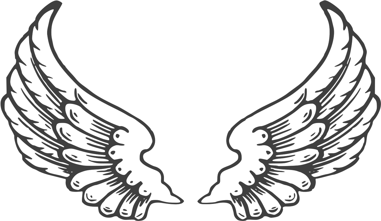 Angel Wings Graphic Clipart (1600x1600), Png Download
