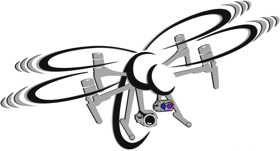 Firefly Black And White Clipart - Png Download (1000x543), Png Download