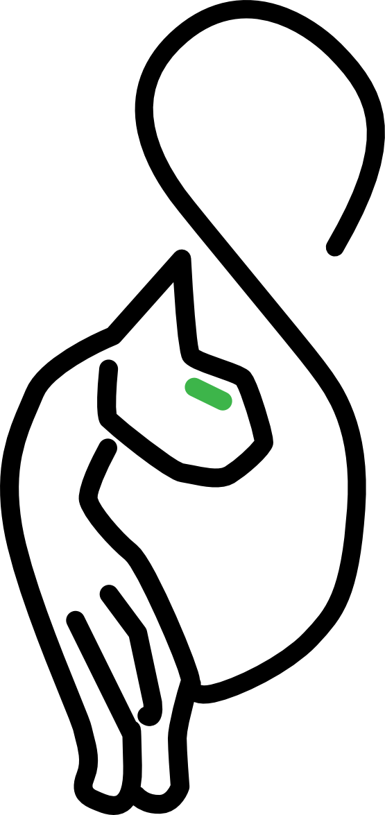 Net » Clip Art » Stylied Kitty Cat Svg - Kitty Cat Symbol - Png Download (555x1175), Png Download