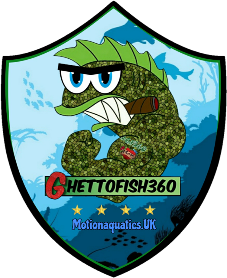 Illustration Clipart (960x960), Png Download