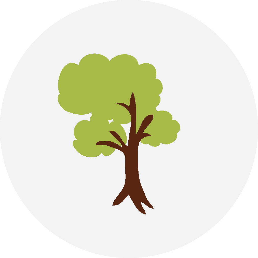 Nature Photography - Cd Art Clipart (1013x1013), Png Download