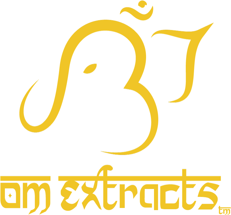 Clip Art - Png Download (800x724), Png Download