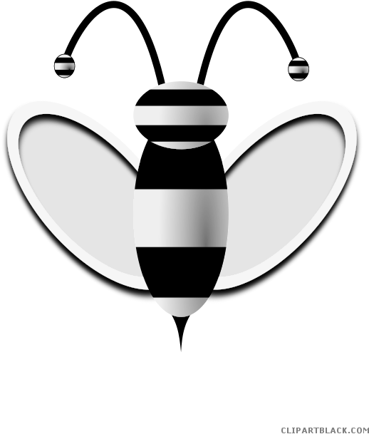 Honey Clipart Black And White - Clip Art - Png Download (566x800), Png Download