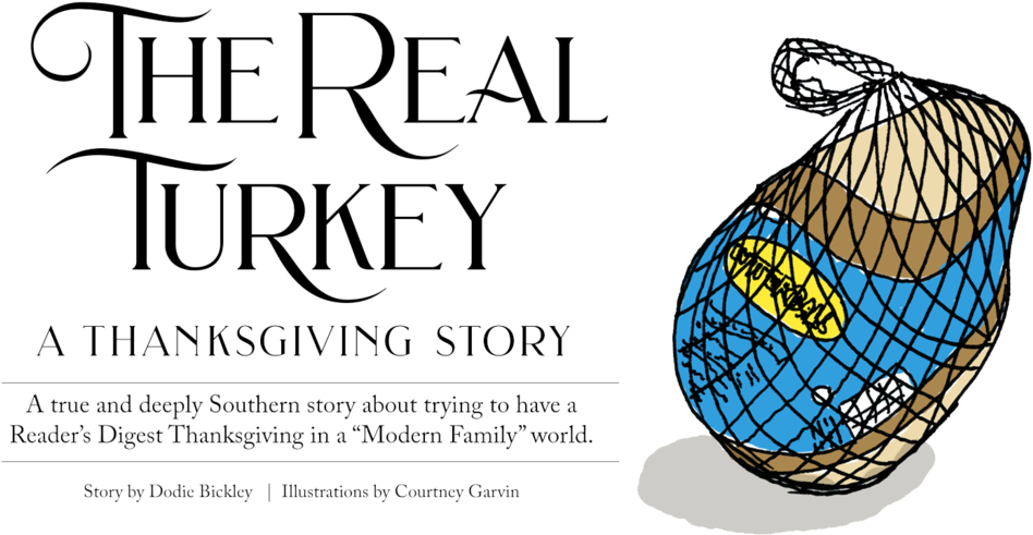 Bs Feature Turkey Clipart (1000x554), Png Download