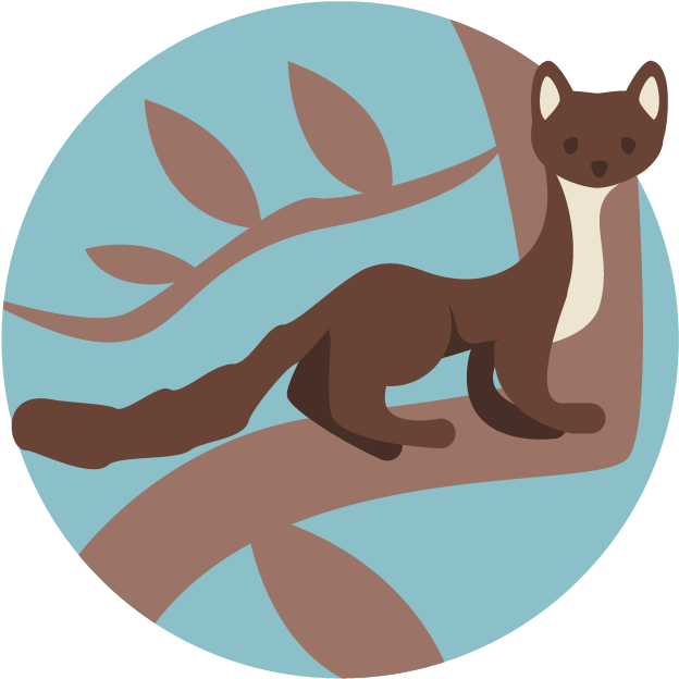 Pine Marten - Otter Clipart (656x656), Png Download