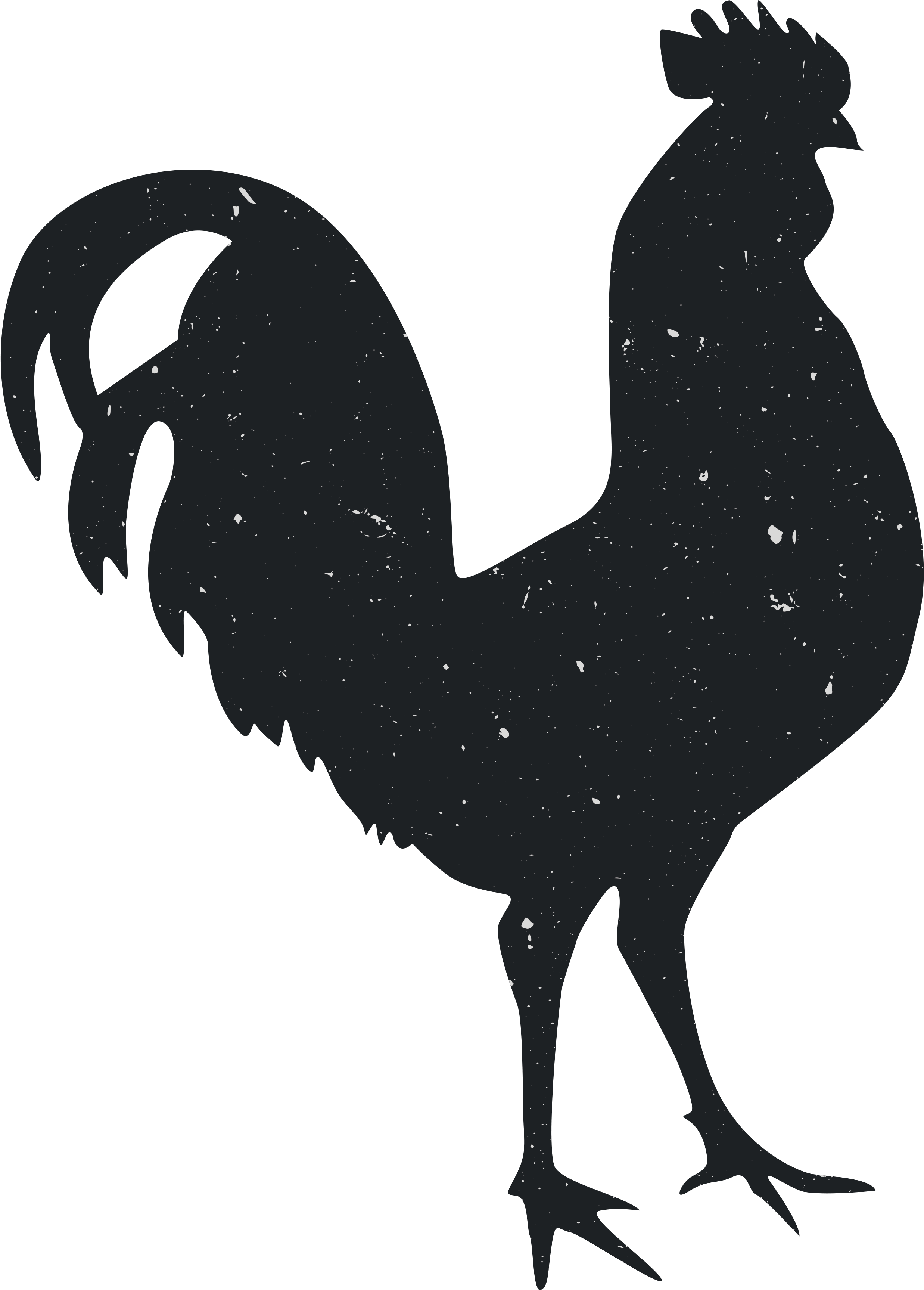 Silhouette Rooster Animal Computer File - Imagenes De Gallos En Png Clipart (3600x3600), Png Download